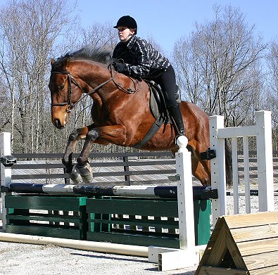 Snowdance Kid - February 5, 2006