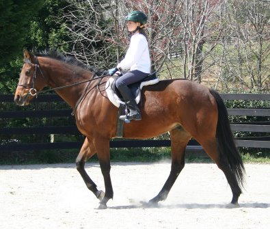 Snowdance Kid - March 18, 2006