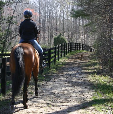 Snowdance Kid is quiet on the trails. March 26, 2006