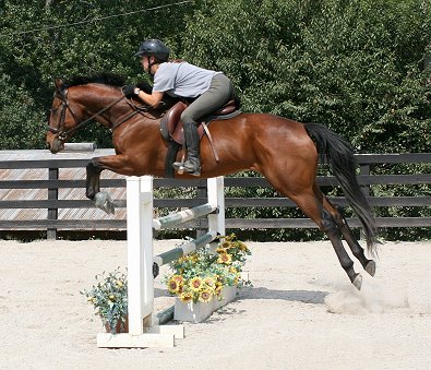 OTTB - Snowdance Kid and Liz Messaglia of Indiana. September 17, 2006 