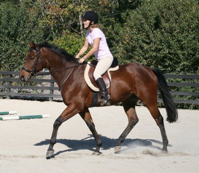Snowdance Kid and visitor Beth Hutchison