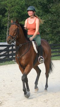 Snowdance Kid is a bay Thoroughbred horse for sale at Bits & Bytes Farm.