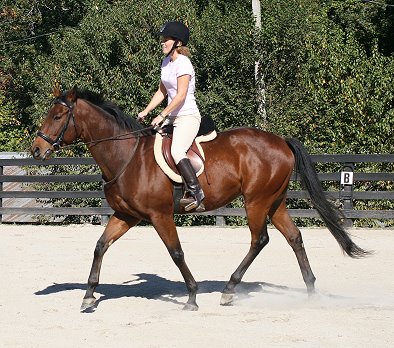 OTTB - Snowdance Kid and Beth Hutchison
