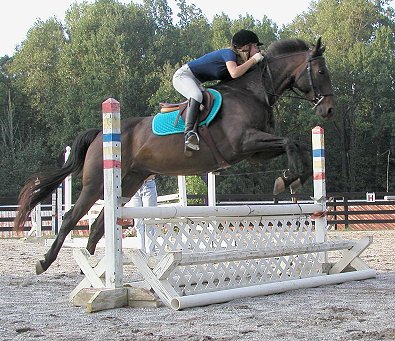 Rowdy and Kelly gate