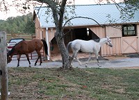 Southern Legacy and Cobb County in front of their new barn.