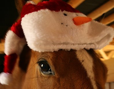 Merry Christmas from Southn Legacy. December 23, 2007