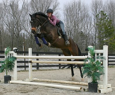 Te Conquestar and trainer Elisa jump a four foot fence with ease.