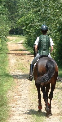 Trail riding at Dawson forest on a former stakes racing Thoroughbred.