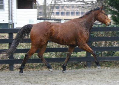 Touchthesun aka Fred is a gorgeous mover.