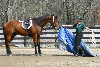 Lise shows Touchthesun the plastic tarp.