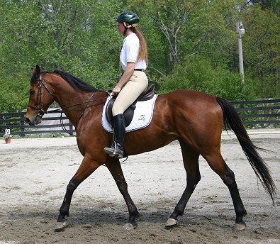 Touchthesun and Lise Matte at our Easter dressage schooling show. April 16, 2006 