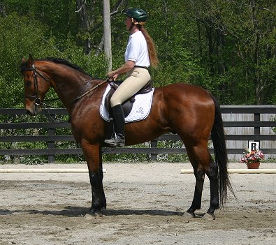 Touchthesun and Lise Matte at our dressage schooling show.