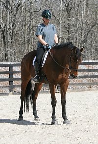Horse For Sale - Tucks St. Aly with visitor Leslie Olsen. March 13, 2008