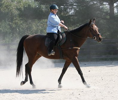 Rebecca Kestle, DVM enjoyed her ride on Tuck's St. Aly. October 5, 2008