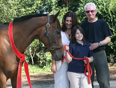 Thoroughbred Horse For Sale