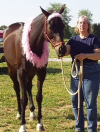 Waterloo Slew and mom Gail