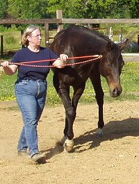 Waterloo Slew and mom Gail
