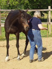 Waterloo Slew and mom Gail