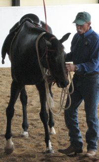 OTTB - Waterloo Slew at a Mark Russell clinic.
