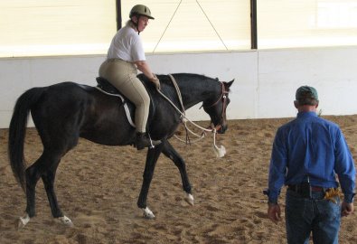 OTTB - Waterloo Slew at a Mark Russell clinic.