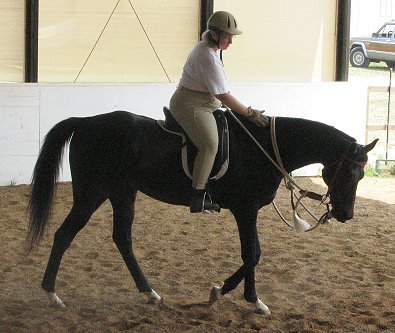 OTTB - Waterloo Slew at a Mark Russell clinic.