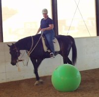 Waterloo Slew and mom Gail