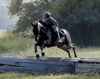 Waterloo Slew and Elizabeth