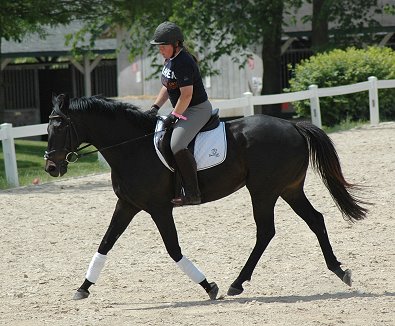Ex-racehorse Wiseguy's Out at a dressage show in Kentucky. June 2006