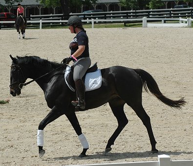 Thoroughbred doing dressage at the KDA show at the Kentucky Horse Park. Wiseguy's Out - June 2006