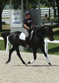 Exracer - Wiseguy's Out at the Kentucky Horse Park at a dressage show.