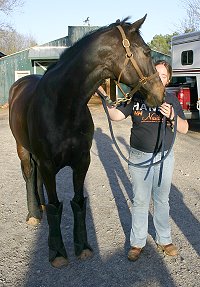 Wiseguy's Out stopped by for a visit in March 2006. He has grown and filled out.