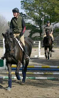 Wiseguy's Out - February 2005