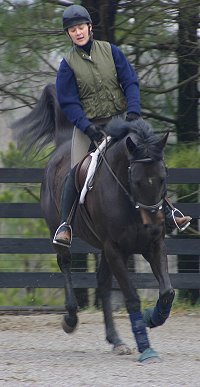 Ex-racer in training, Wiseguy's Out - February - March 2005