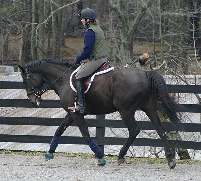 Wiseguy's Out - February 2005