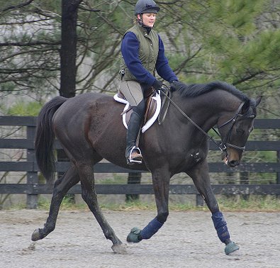 Wiseguy's Out - At Bits & Bytes Farm February 3, 2005.