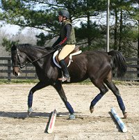 Wiseguy's Out - At Bits &amp; Bytes Farm February 6, 2005.