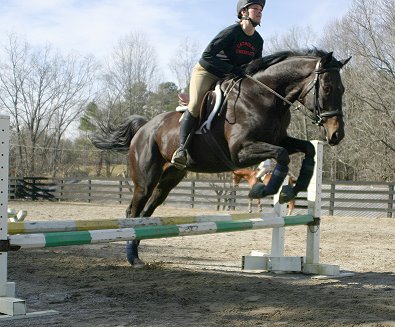 Wiseguy's Out - February 2005