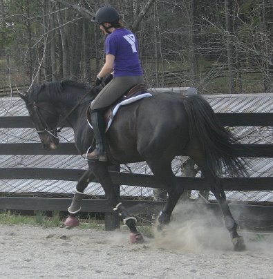 Wiseguy's Out in March. Look at how he is developing. - March 2005