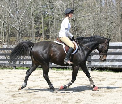 Wiseguy's Out in March - March 2005