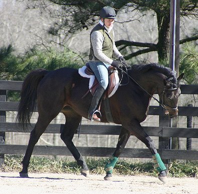 Wiseguy's Out in training with his aunt Lauren in Janaury 2005.
