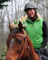 OTTB Audi decked out for Christmas.