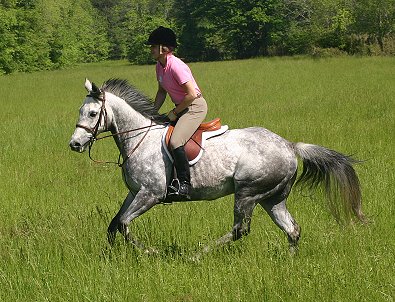 Blue and Stephanie Bone.
