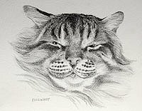 Affordable Pet Portraits from artist and horsewoman, Melanie Eberhardt