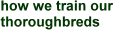 training thoroughbreds