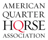 American Quarter Horse Association