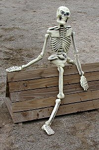 Don't be a lazy bone. Do your homework. Read our FAQ page.