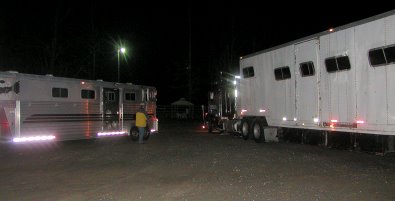 We sold so many horses we had to hire a 15 horse van to get them all to the South. 