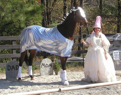 Knight Villain was Elizabeth's "Knight in Shining Armor" to her lady in waiting costume.