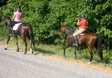 Dream Pusher and Political Pull.