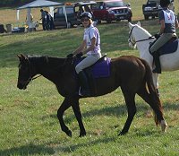 Shamrock Hounds Hunter Pace